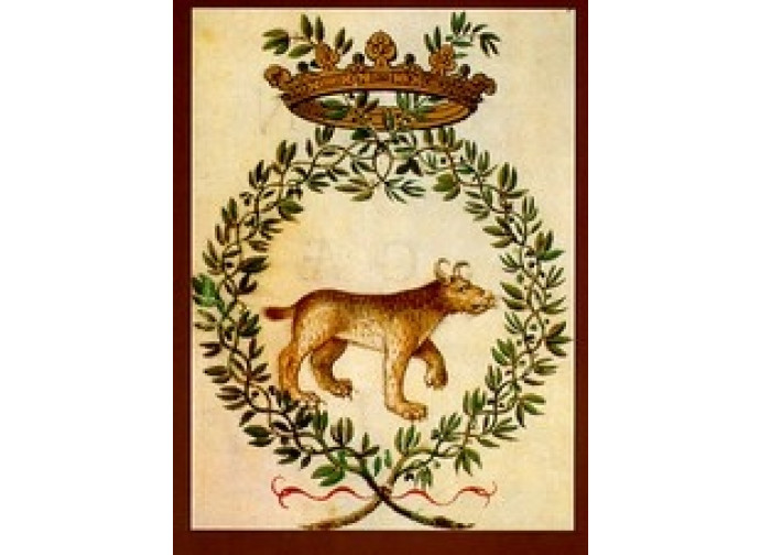 accademia dei lincei accademia dei lincei